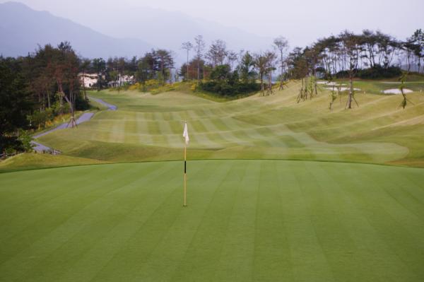 �������뿵