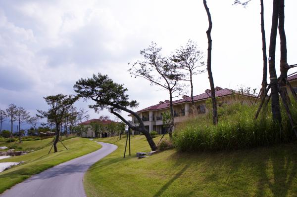 �������뿵