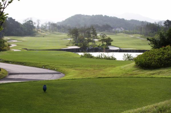 �������뿵