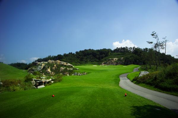 �������뿵