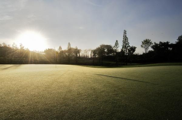 �������뿵