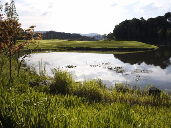 �������뿵