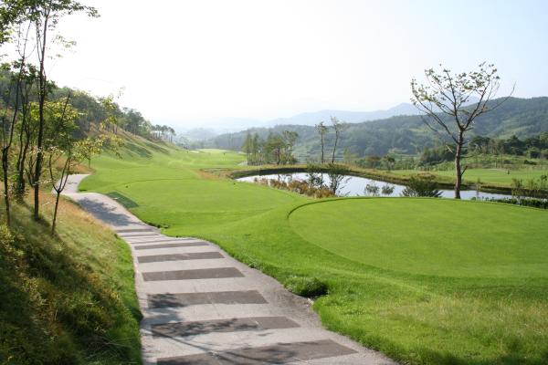 ������ī��Ƽ��õ