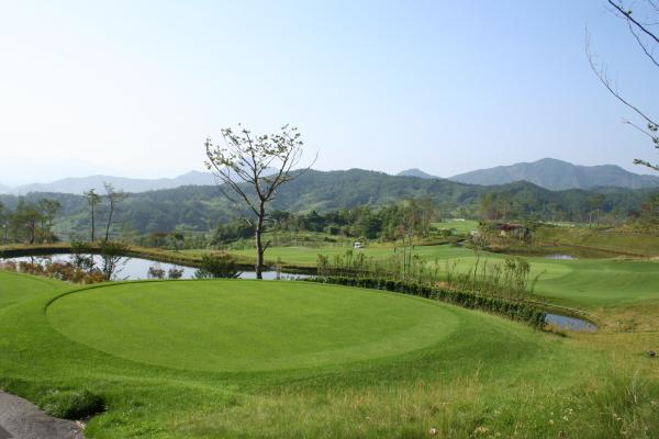 ������ī��Ƽ��õ