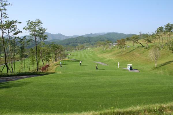 ������ī��Ƽ��õ