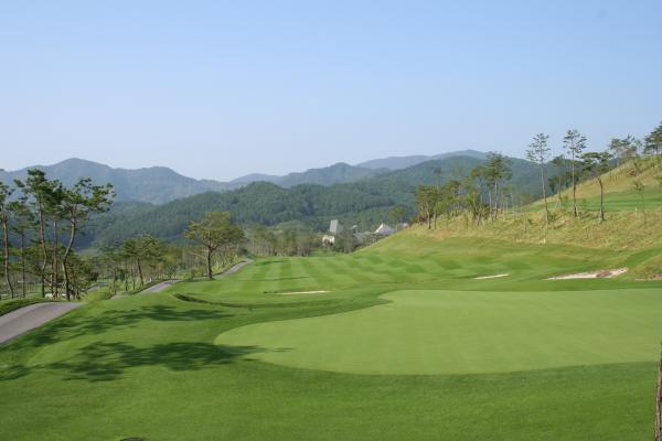 ������ī��Ƽ��õ