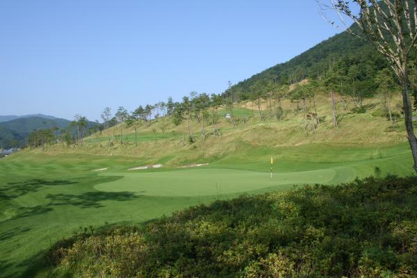 ������ī��Ƽ��õ