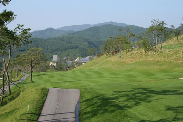 ������ī��Ƽ��õ