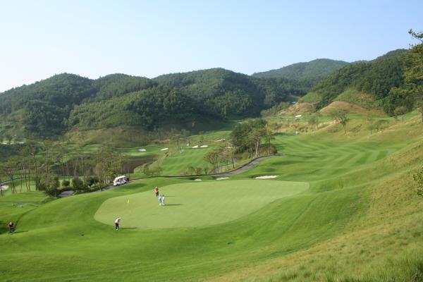 ������ī��Ƽ��õ