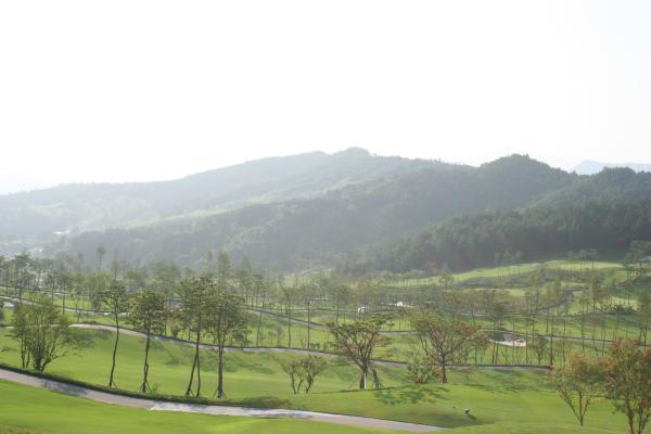 ������ī��Ƽ��õ