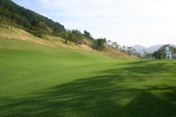 ������ī��Ƽ��õ