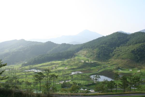 ������ī��Ƽ��õ