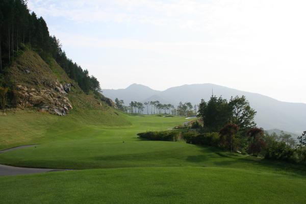 ������ī��Ƽ��õ