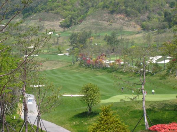 ������ī��Ƽ��õ