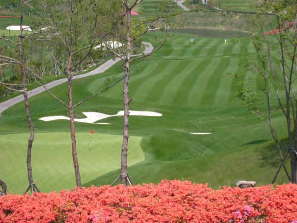 ������ī��Ƽ��õ