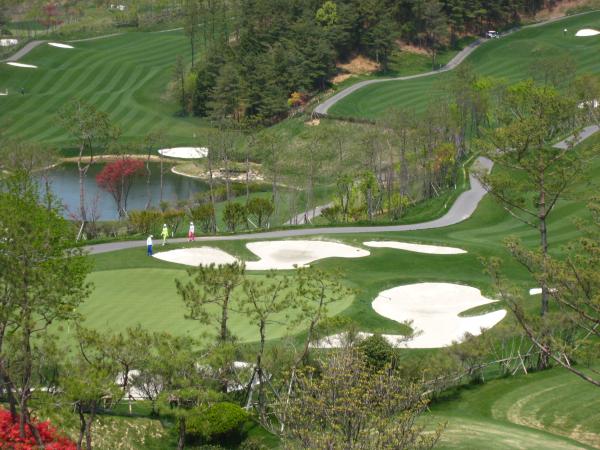 ������ī��Ƽ��õ