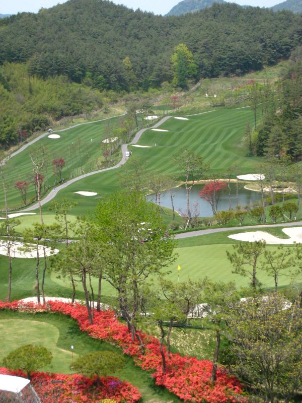 ������ī��Ƽ��õ