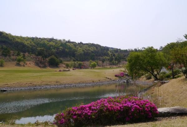 ������Ƴʽ�(�� �������Ƴʽ�)