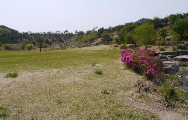 ������Ƴʽ�(�� �������Ƴʽ�)