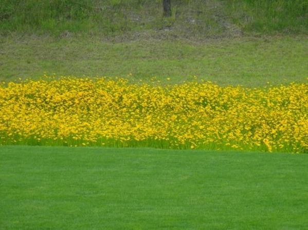 ������Ƴʽ�(�� �������Ƴʽ�)