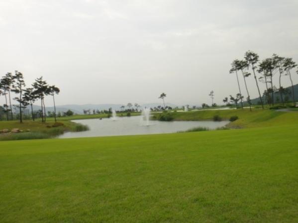 ������Ƴʽ�(�� �������Ƴʽ�)