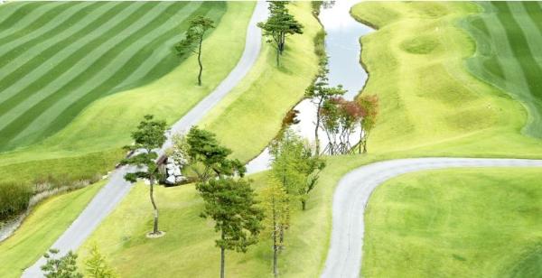 ������ī��Ƽ õ��