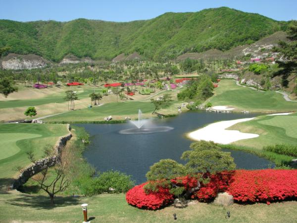 ������ī��Ƽ õ��