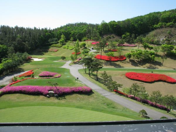 ������ī��Ƽ õ��