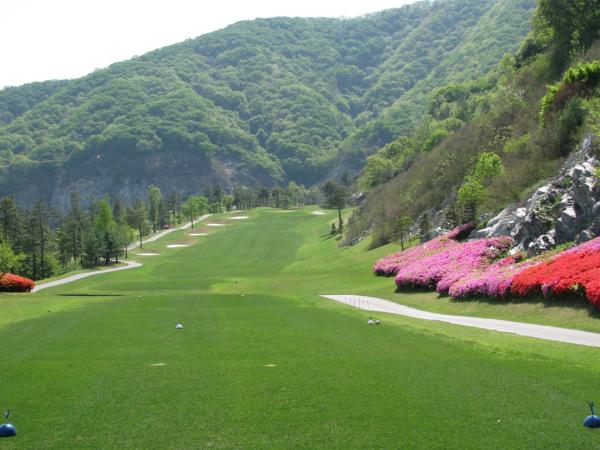 ������ī��Ƽ õ��