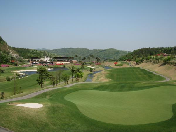 ������ī��Ƽ õ��