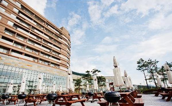 ���ɺ��̽��ܵ�