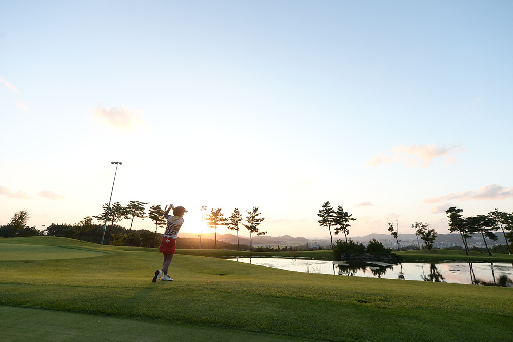 ���ɺ��̽�(�� �������Ǿ�) 