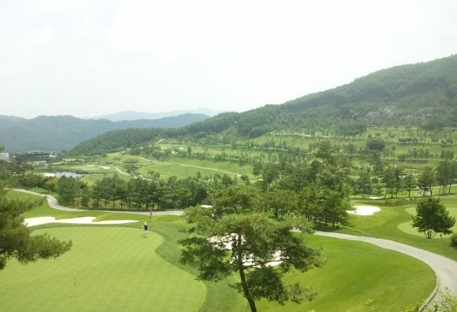 ������ī��Ƽ õ��