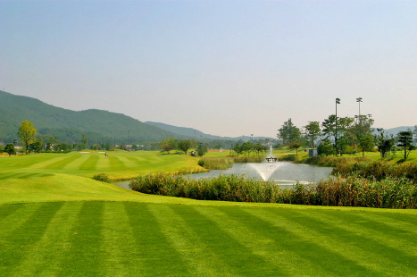 �����ġ(�� �¾Ⱥ�ġ)