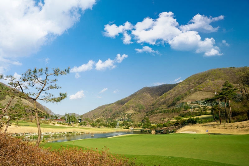 �����ֽ��Ʈ(P)