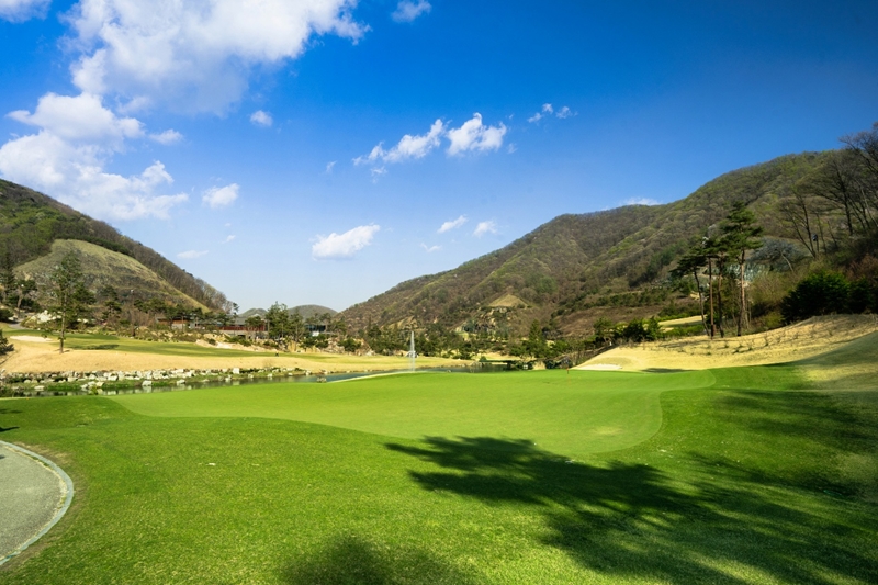 �����ֽ��Ʈ(P)