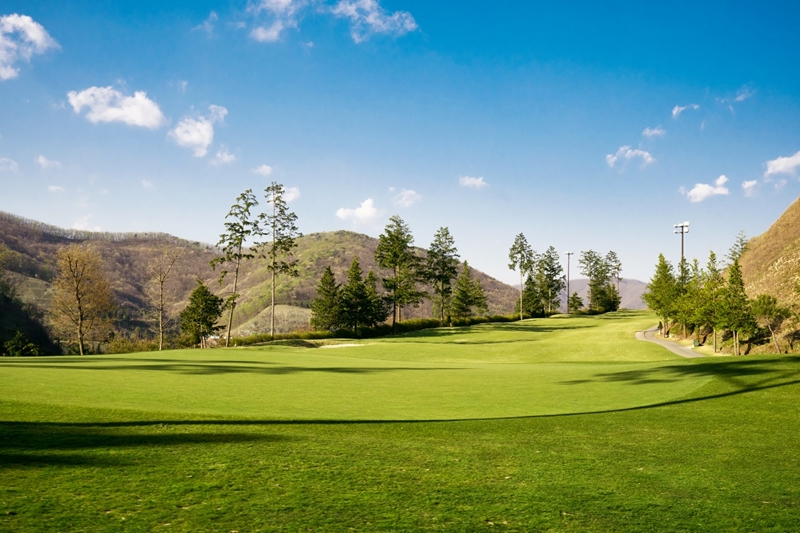 �����ֽ��Ʈ(P)