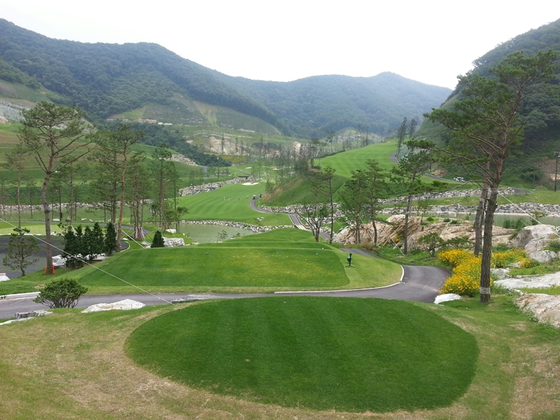 �����ֽ��Ʈ(P)