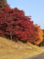 3  Դµ  湮߽ϴ. ׶ 