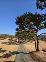 �ܵ����  �ߵ��ְ� ��ſ� ���� �̿����ϴ�