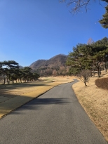 �ܿ��ε��� �ұ��ϰ� �ڽ����� �ʹ� ���ҽ��ϴ�