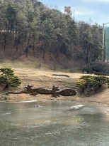 ���ݴ�� 
������ ������
�нǹ��־�����