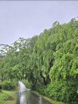 �ѹ������� �ٽð������� ��������
�����̺�