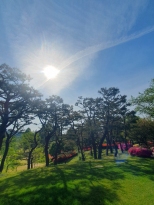 �ʹ���븦������ſ�̿���
�����������ڽ��ε���