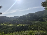 ĳ����� ���� ���α��̽ó׿� �Ÿ� ���� �� 