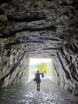 �Ա� �� ���� �߷����� �����Ϲ� ��Ŀ����� 