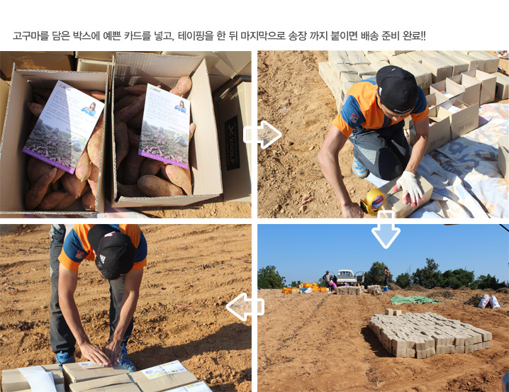 고구마를 담은 박스에 예쁜 카드를 넣고 테이핑을 한 뒤 마지막으로 송장까지 붙이면 배송 준비 완료