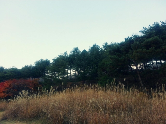 2014\1107\2014110756112411_B.jpg