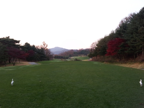 2014\1110\2014111065074881_B.jpg