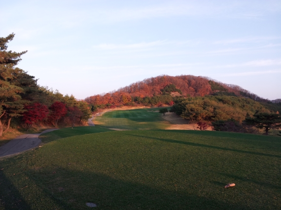 2014\1110\2014111065412091_B.jpg